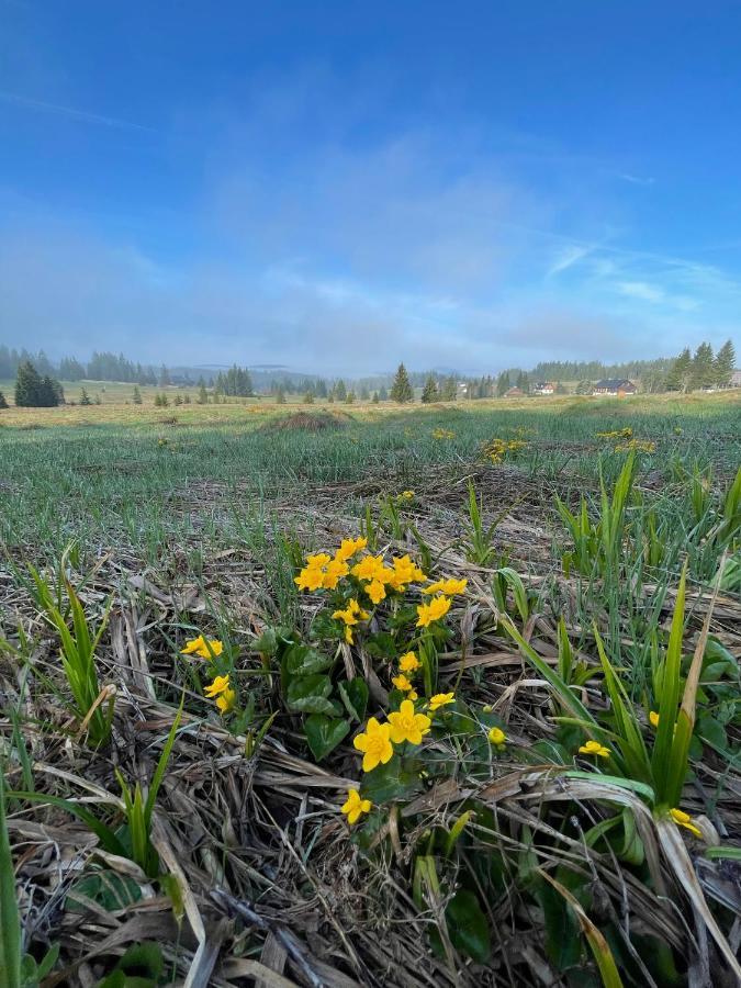 Pension Korytko Горска-Квілда Екстер'єр фото